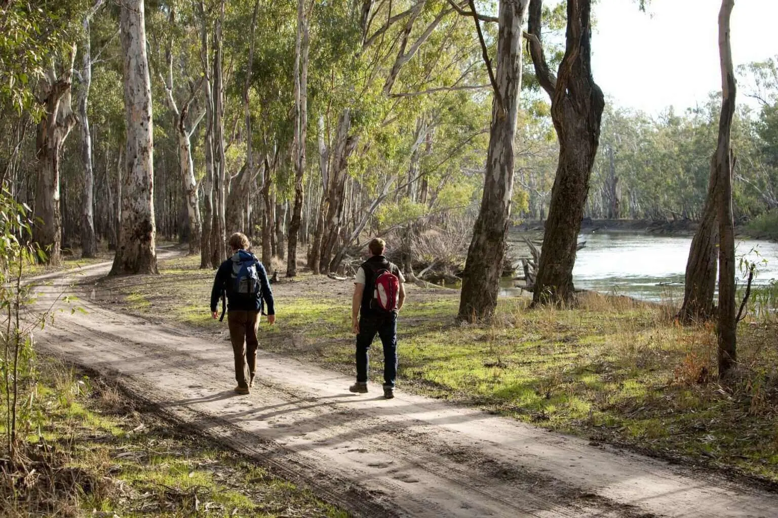 Barmah National Parks