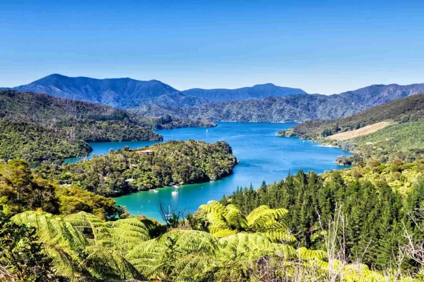 Picton New Zealand