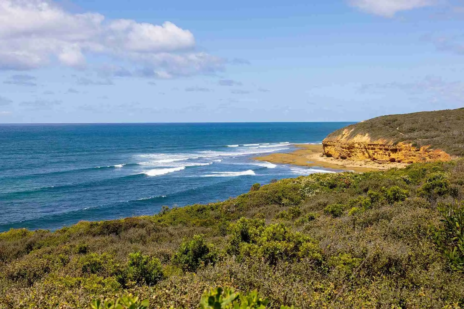 THP Geelong Attractions