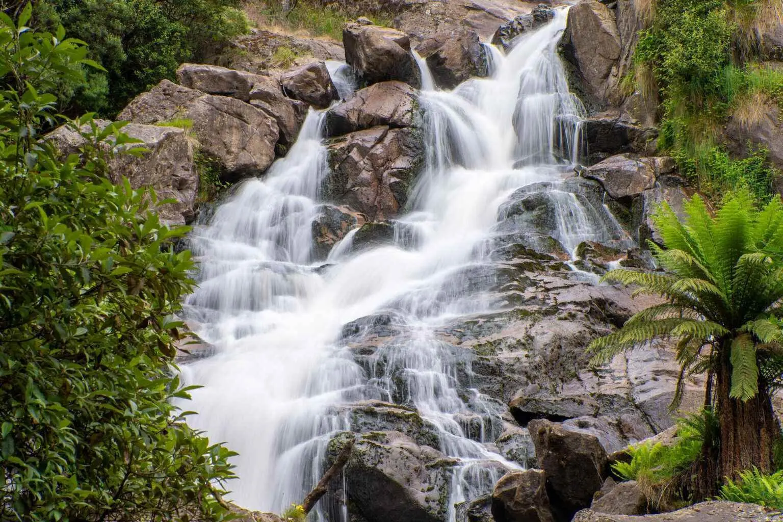 THP St Helens Attractions