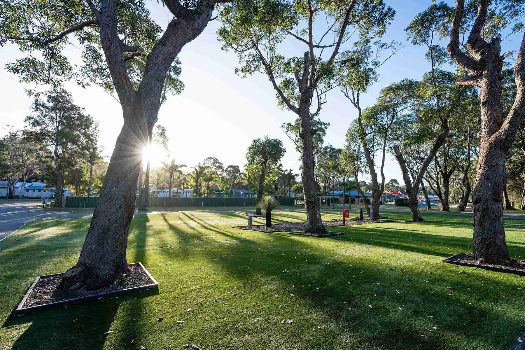 THP Racecourse Beach Caravan Camping