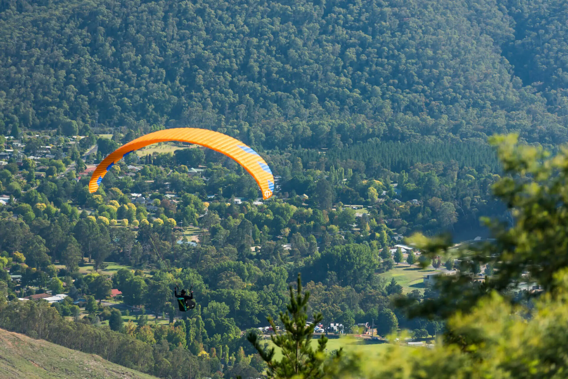 Bright paragliding