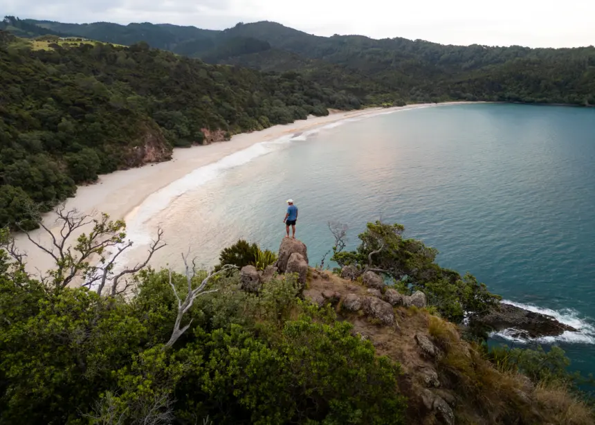 Tasman Holiday Parks - Coromandel