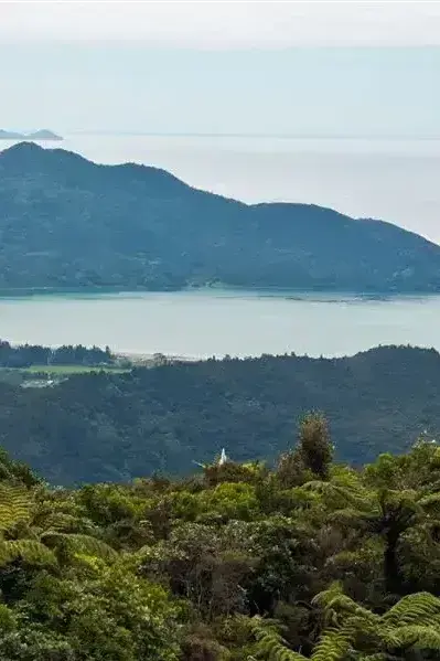 Tasman Holiday Parks - Coromandel