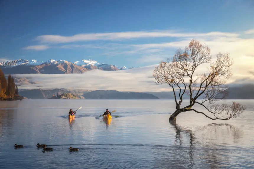 Lake wanaka destination park